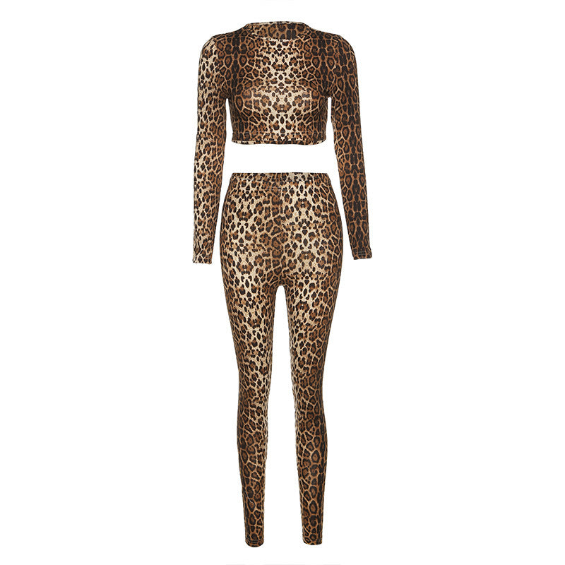 Two Piece Leopard Set