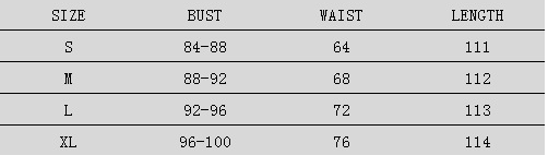 Lace Embroidered Dress