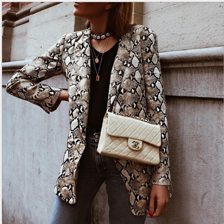Snake Print Blazer