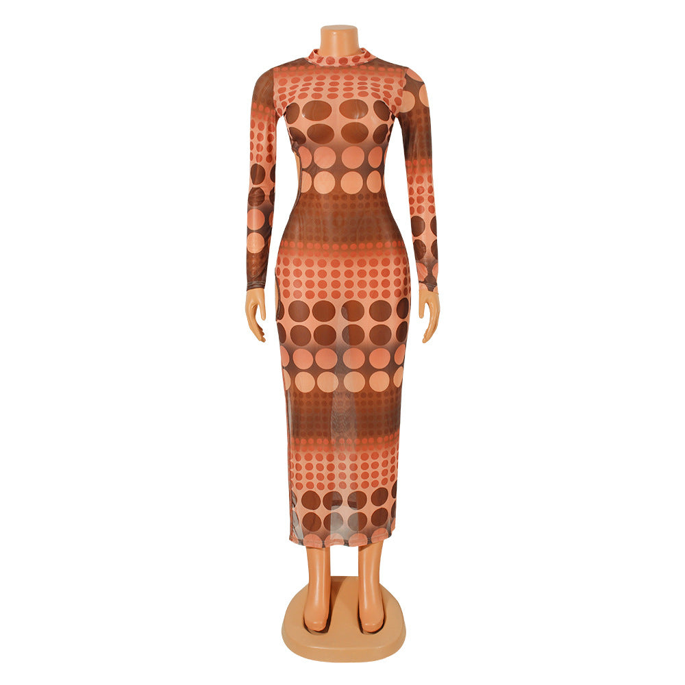 Mesh Swimsuit Dress