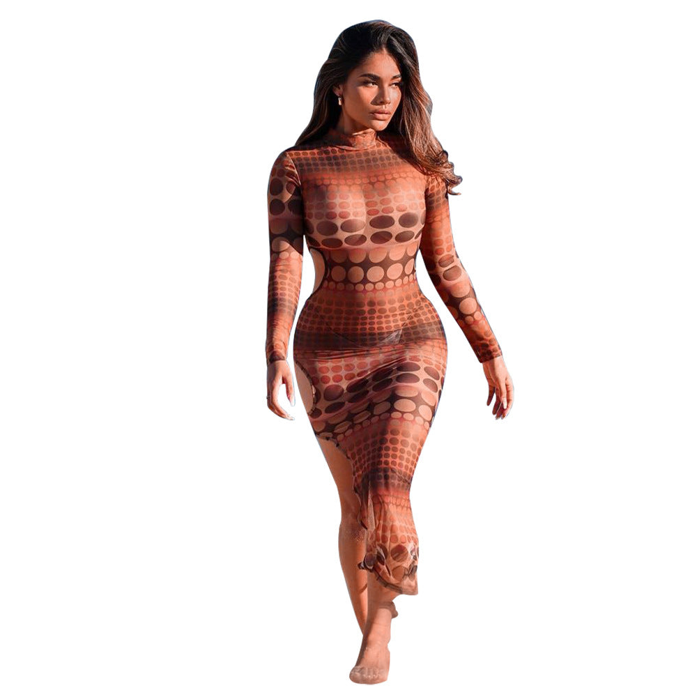 Mesh Swimsuit Dress