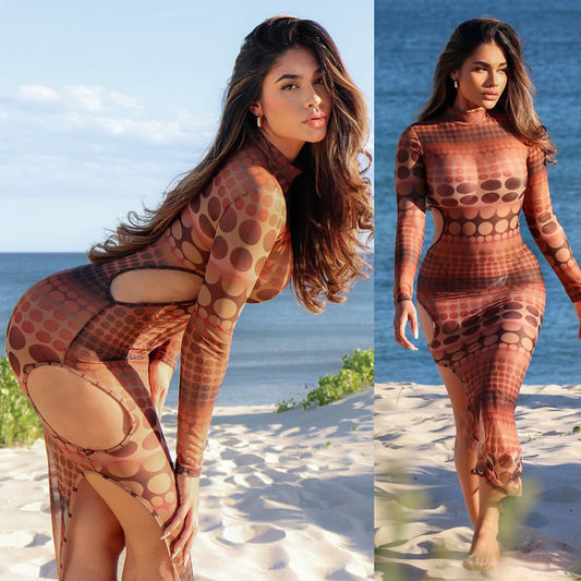 Mesh Swimsuit Dress