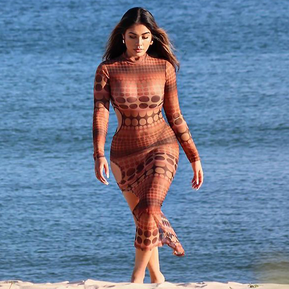 Mesh Swimsuit Dress