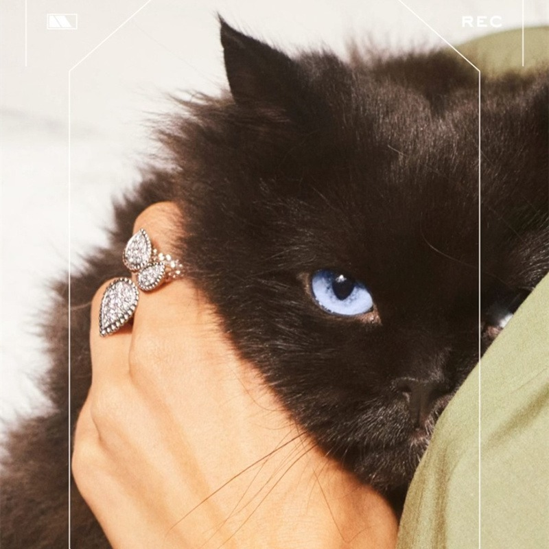 Water Drop Ring