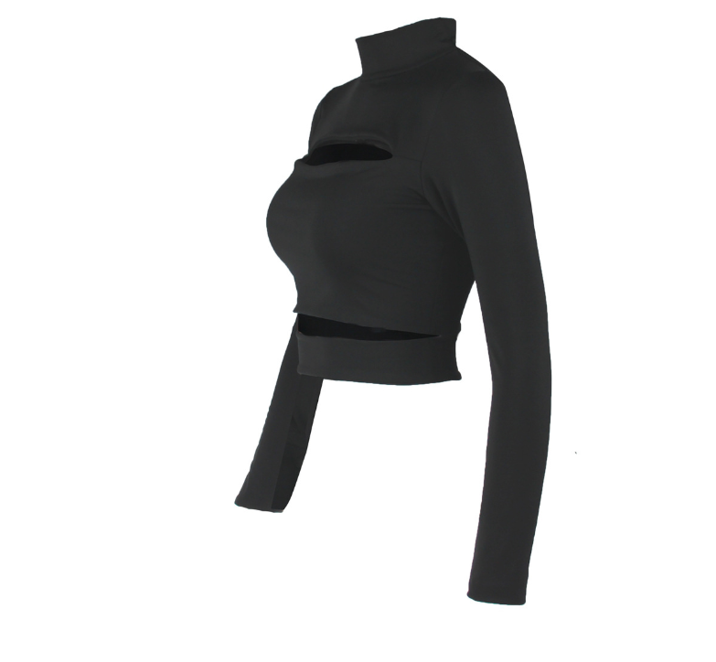 Long-Sleeve High-Neck Top